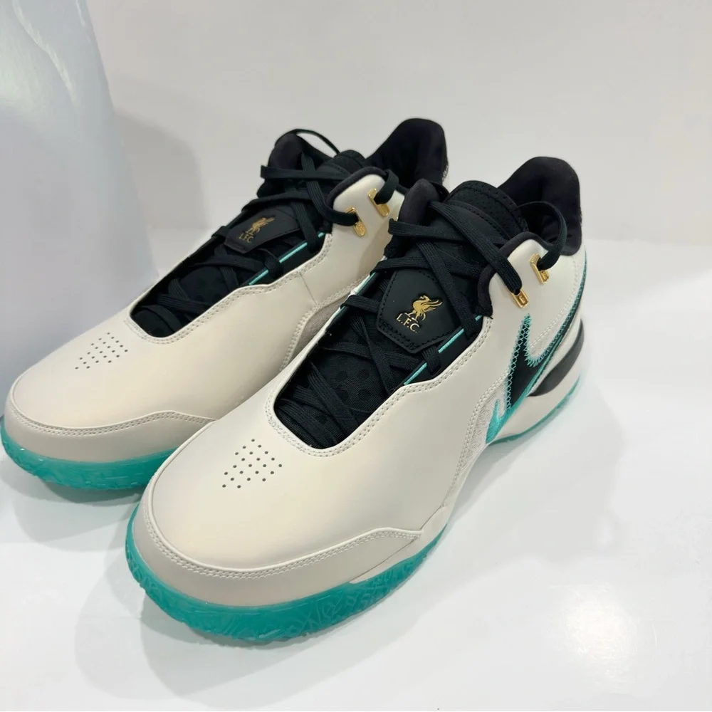 Nike Zoom LeBron NXXT Gen AMPD Orewood Men’s Basketball Shoes